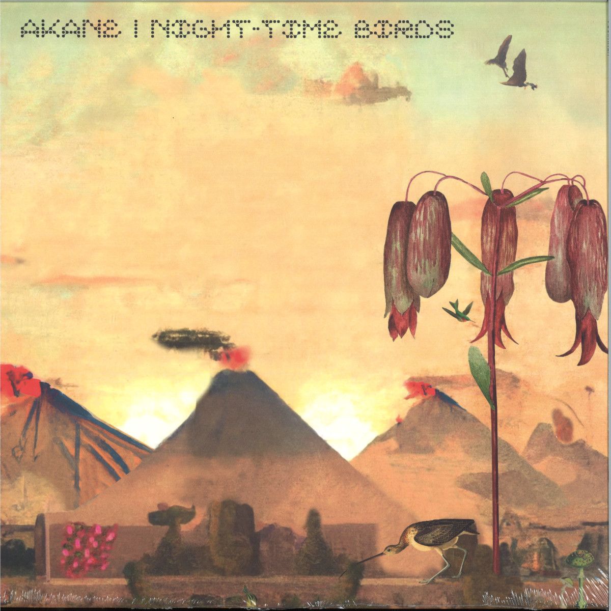 Akane - Nigh-Time Birds LP | Keroxen (KRXN034) - main Akane - Nigh-Time Birds LP | Keroxen (KRXN034) - main
