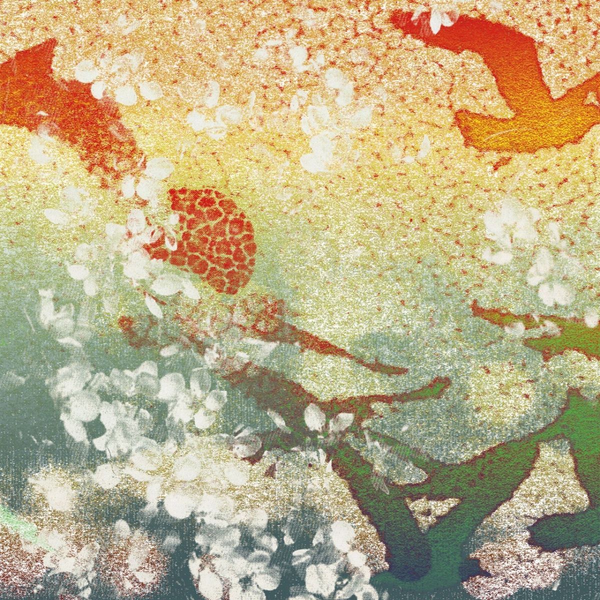 Floating World Pictures - Floating World Pictures with Ocean Moon (TAPE) | Lo Recordings (LO239T) - main