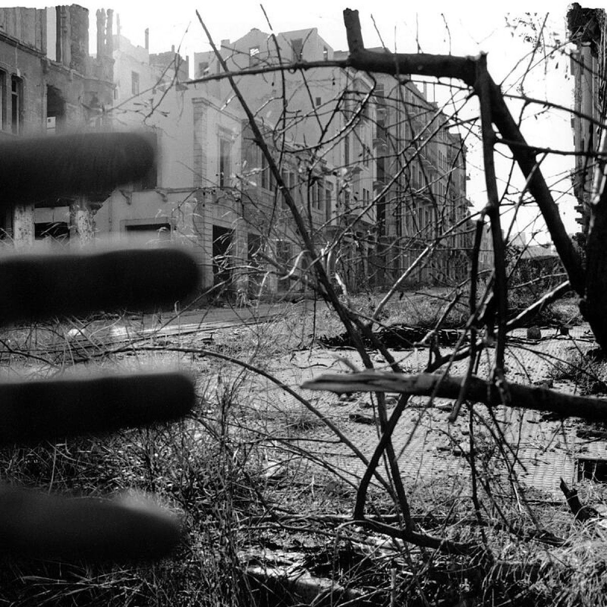 Rayon - Libanon | Alien Transistor (N15) - main Rayon - Libanon | Alien Transistor (N15) - main