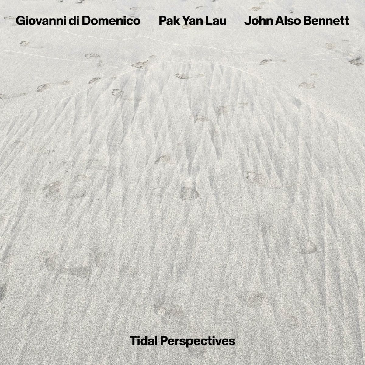 Giovanni Di Domenico  &  Pak Yan Lau  &  John Also Bennett - Tidal Perspectives | editions basilic (EBS2008LP) - main