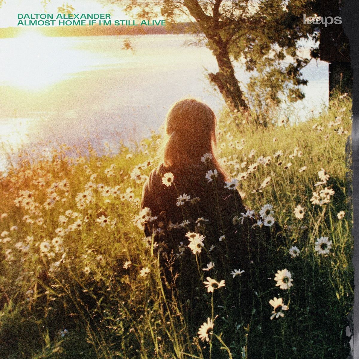 Dalton Alexander - Almost Home If I'm Still Alive | LAAPS (LAAPS036LP)