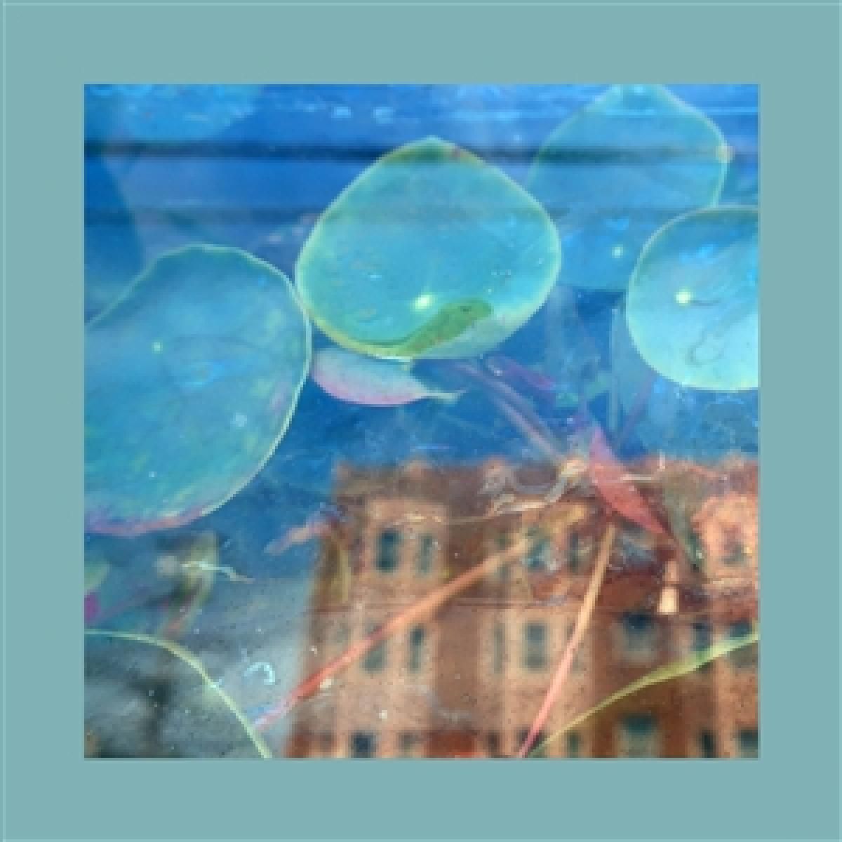 The Reds  &  Pinks  &  Purples - Acknowledge Kindness LP | Fire Records (FIRELPL818) - main