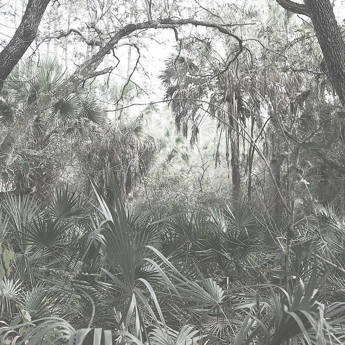 Anders P Jensen - Det Foranderlige Instrument LP | Escho (ESC188) - main