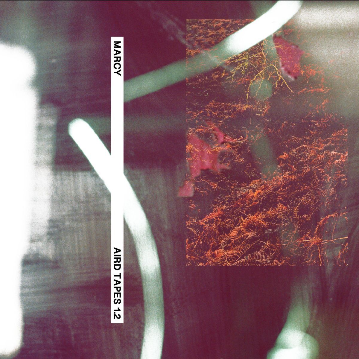 Alicia - Aird Tapes 1.2 (TAPE) | Aird Tapes (AIRDTAPES1.2)