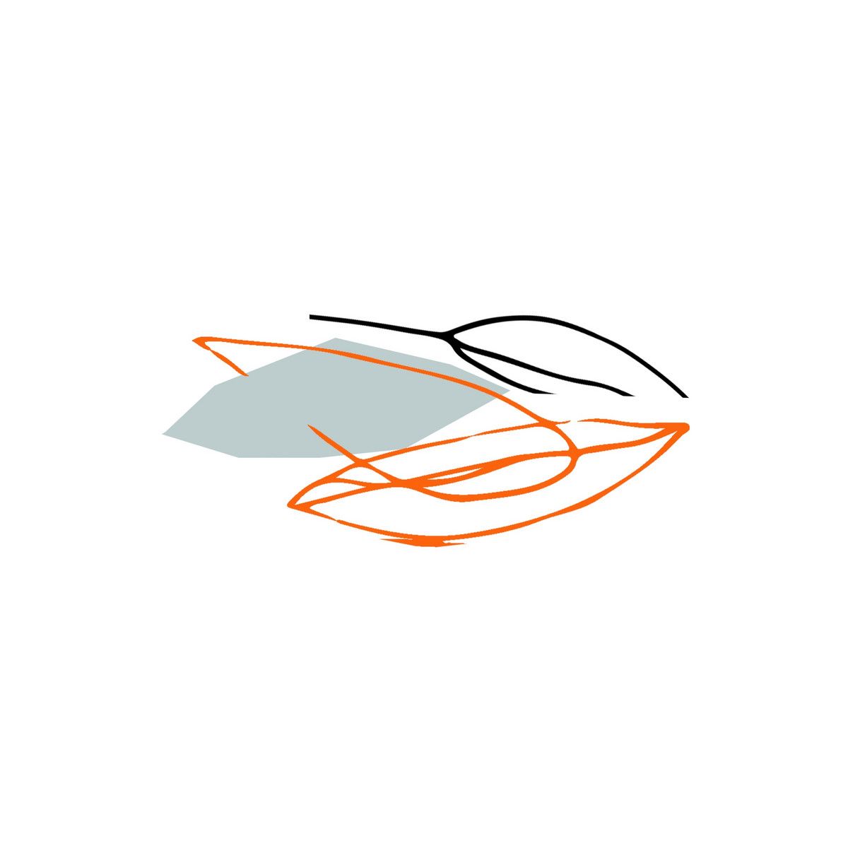 The Humble Bee  &  Benoît Pioulard - I Suppose I'm Your Future | Dauw (DAUWLP05) - main