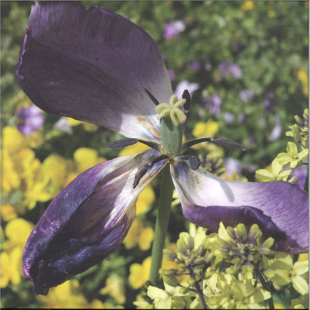 Yusaku Arai - A two LP | Will records (WILL002) - main Yusaku Arai - A two LP | Will records (WILL002) - main