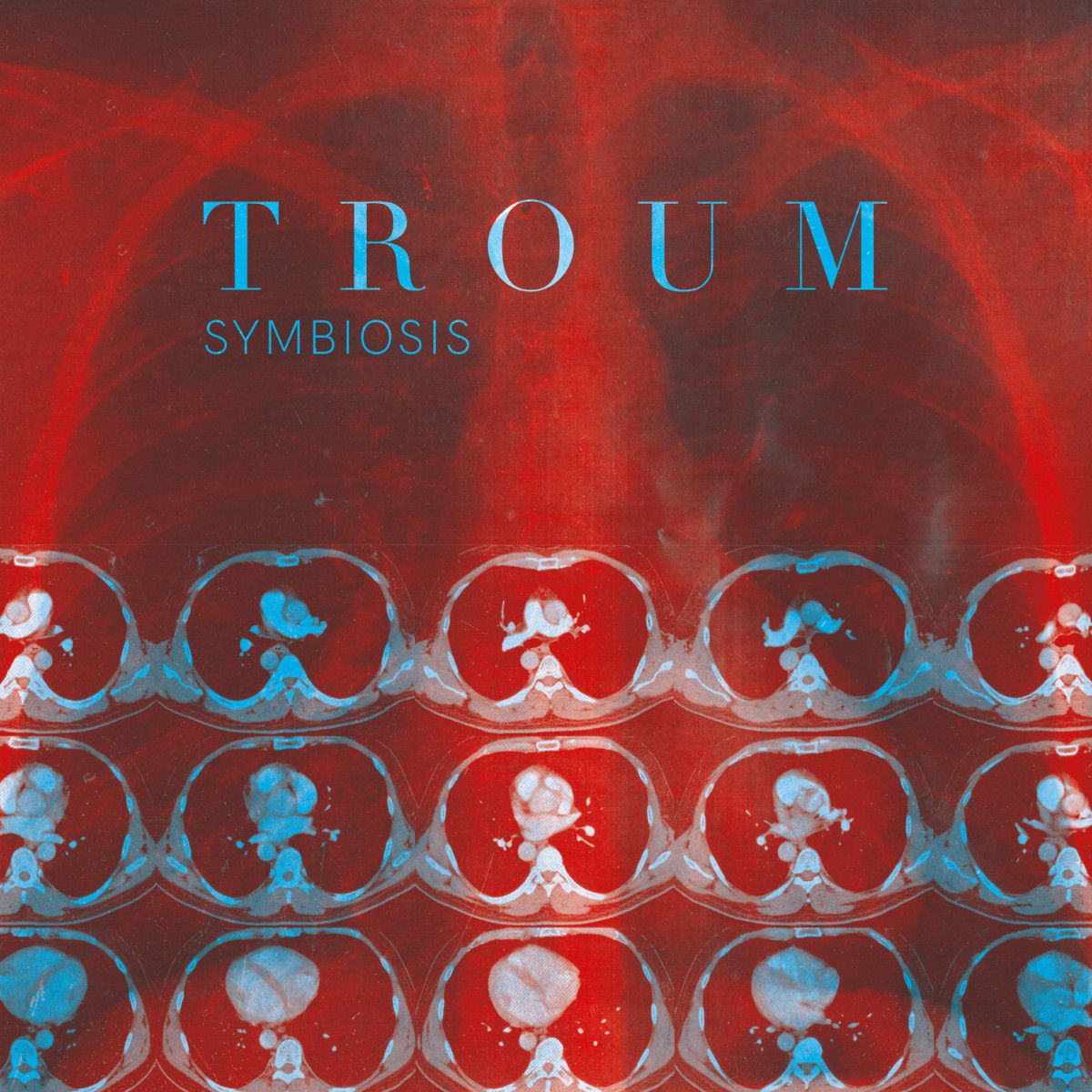 Troum - Symbiosis | aufabwegen (AATP93-LP)