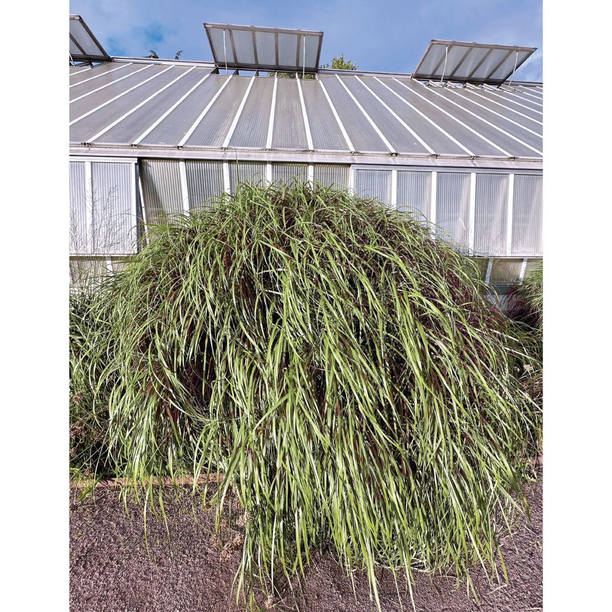 Martina Berther - Bass Works: as I Venture Into LP | Kit Records (KR59) - main