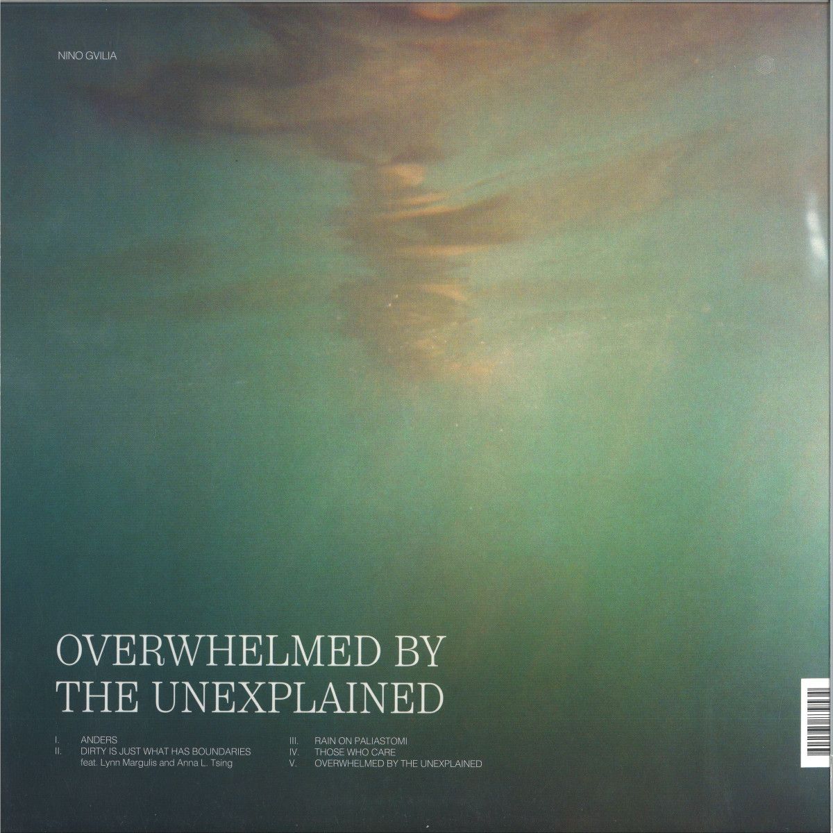 Nino Gvilia - Nicole / Overwhelmed by the Unexplained LP | Hive Mind Records (HMRLP029) - main