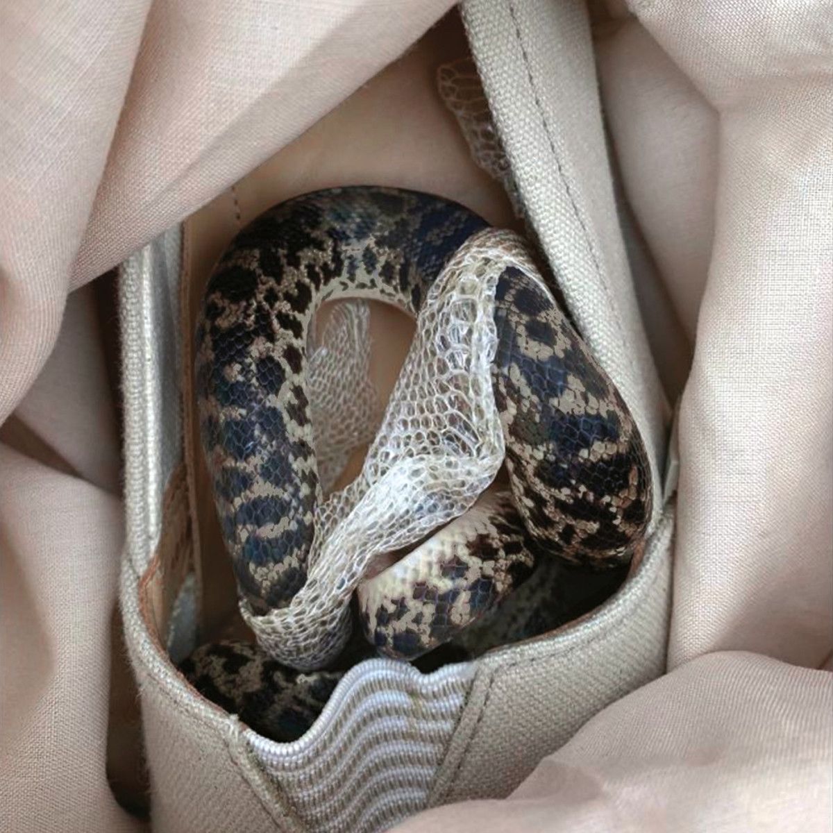 More Eaze  &  Pardo  &  Glass - Paris Paris, Texas Texas LP | OOH-sounds (OOH038B) - main