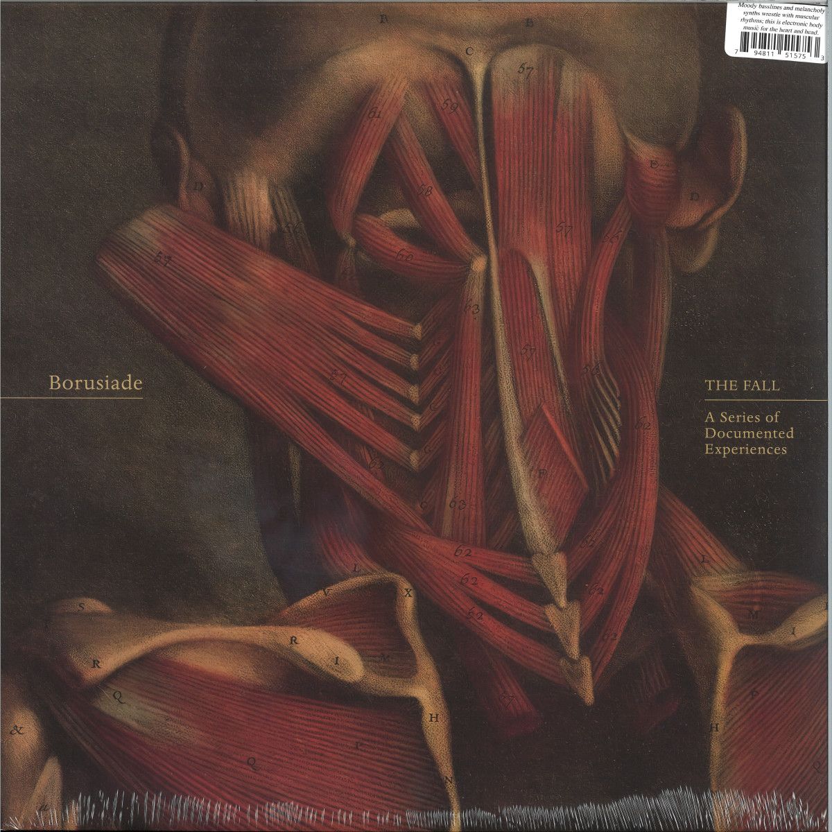 Borusiade - THE FALL: A Series of Documented | Dark Entries (DE326) - main