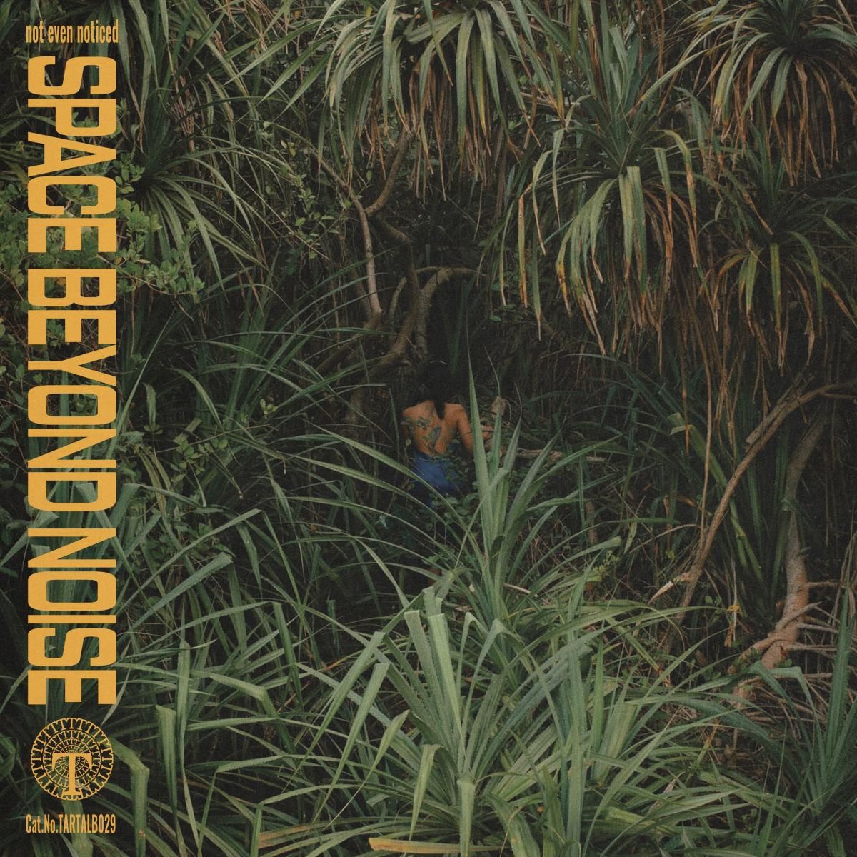 not even noticed - space beyond noise LP | Tartelet Records (TARTALB029) - main