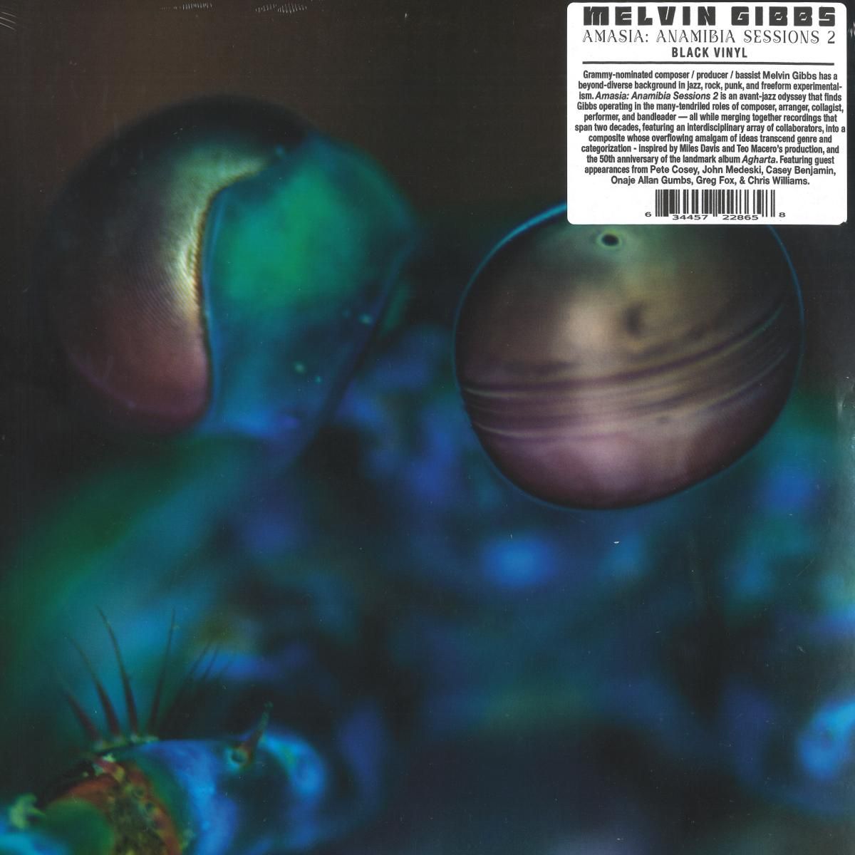 Melvin Gibbs - Amasia: Anamibia Sessions 2 | Hausu Mountain (LPHAUSMO152) - main