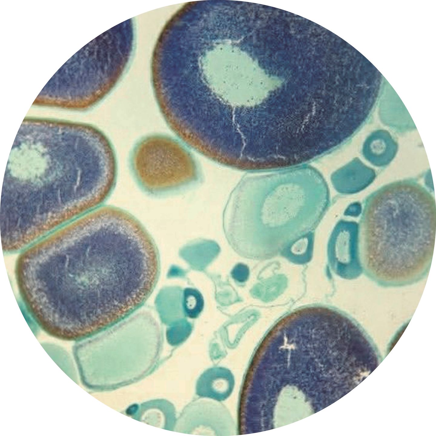 Farres & Vultur - EXPIRED SIGNAL EP | Laboratoire Obsolète (LBS-2) - main
