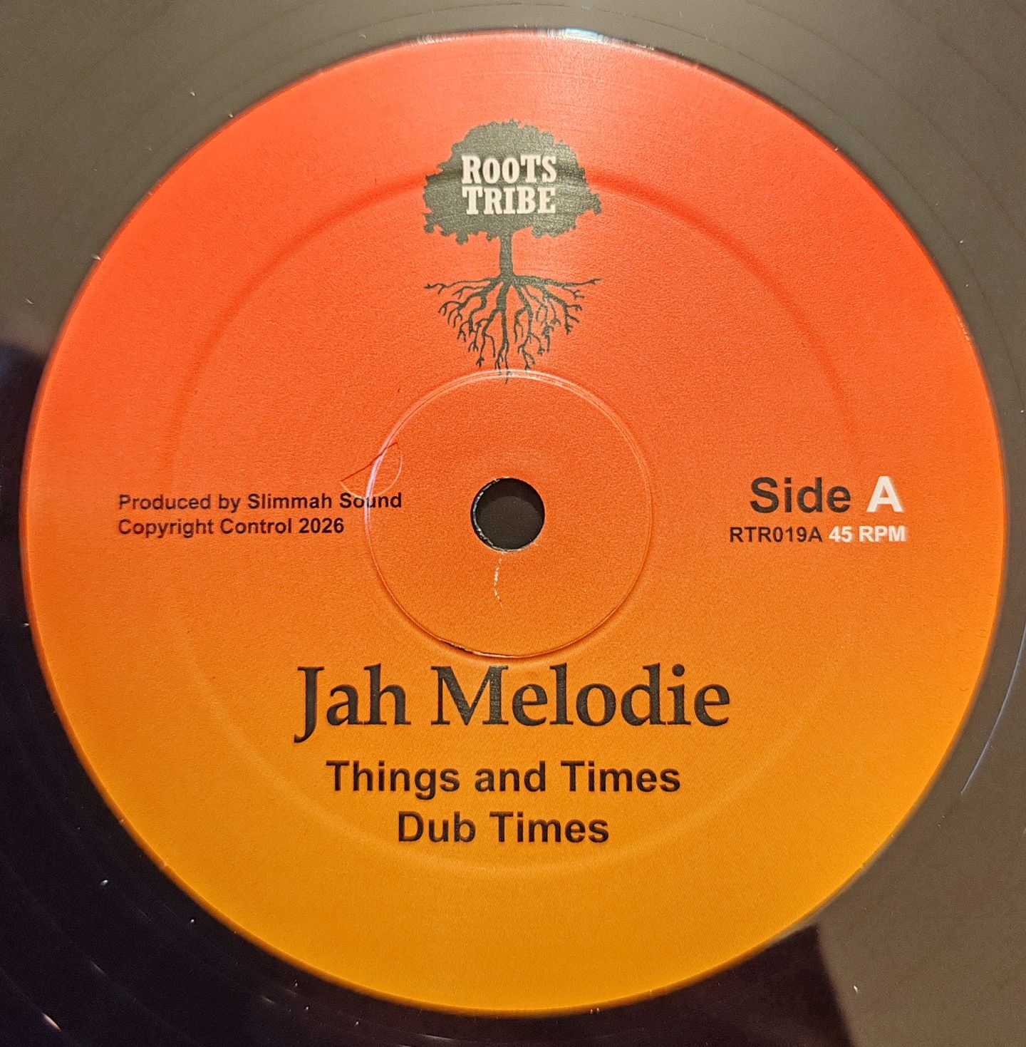 Jah Melodie / Prince Chamba - Things And Times / Jah Almighty | Roots Tribe (RTR019) - main Jah Melodie / Prince Chamba - Things And Times / Jah Almighty | Roots Tribe (RTR019) - main