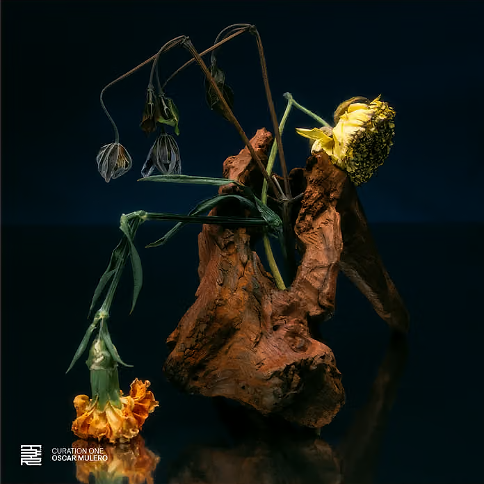 Various - Curation One: Oscar Mulero | The Third Room (T3R022)