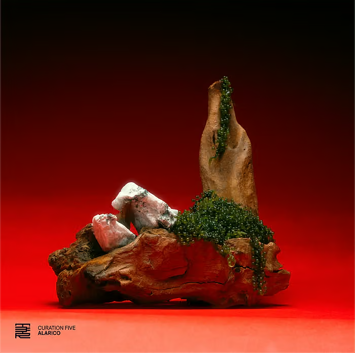 Various - Curation Five: Alarico | The Third Room (T3R026)