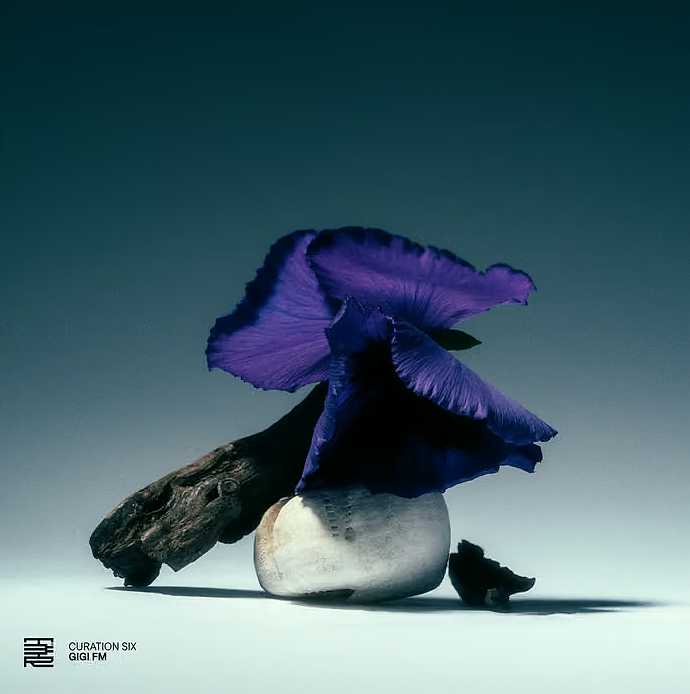 Various - Curation Six: GiGi FM | The Third Room (T3R027)