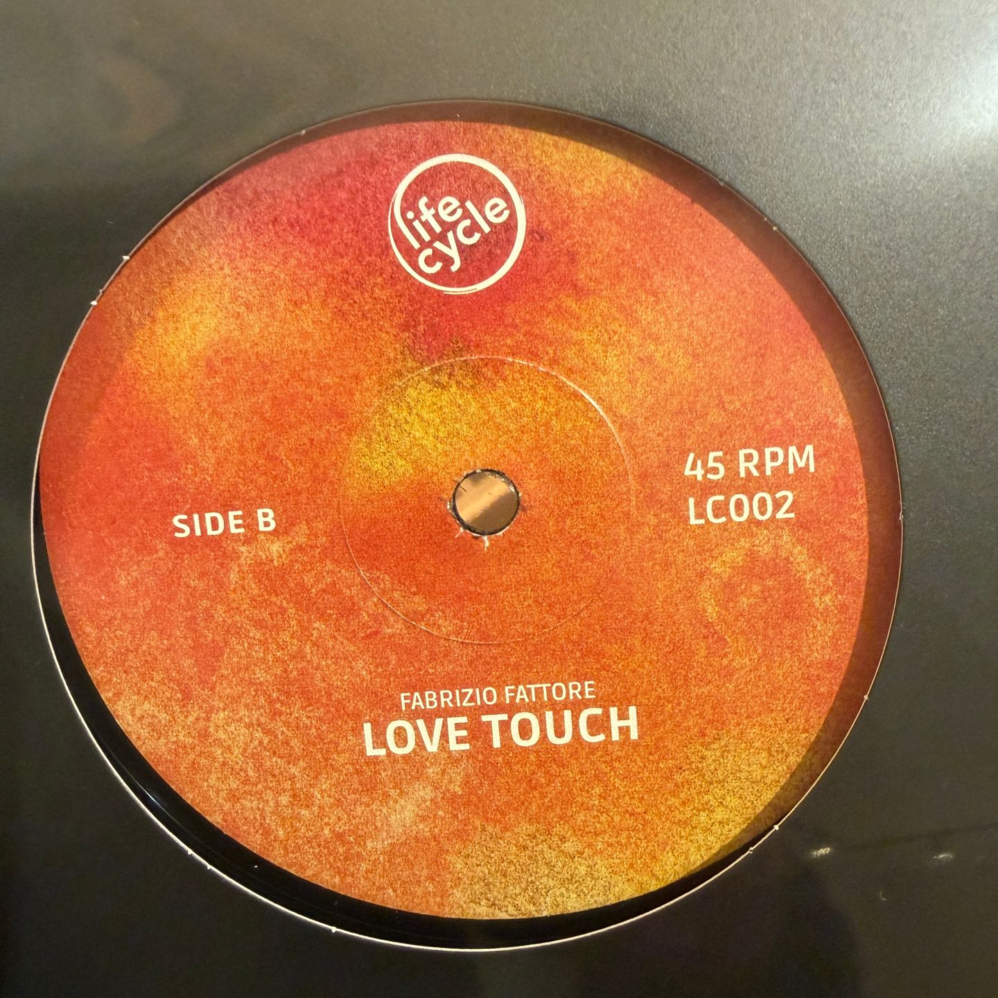 Fabrizio Fattore - Shades | Life Cycle (LC002) - 2