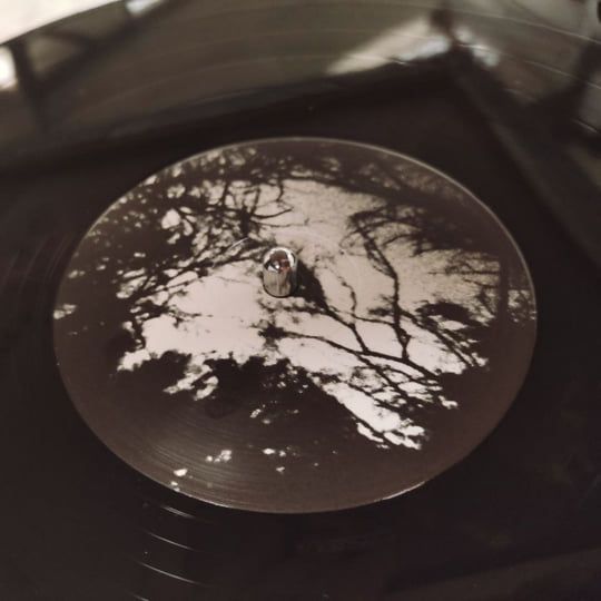 I Tpame I Tvrame - II | Periphylla (PY 111) - 3
