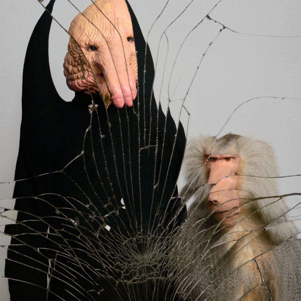 Anklepants - Speek You Little Re-Facéé | Love Love Records (LOVWAX02)