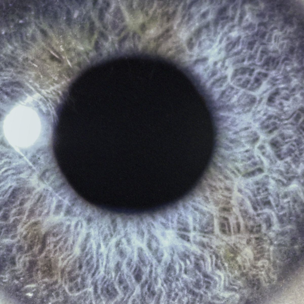 Dan Swanö - Moontower (Transparent Light Blue) 🔵 | Century Media (19802986571)