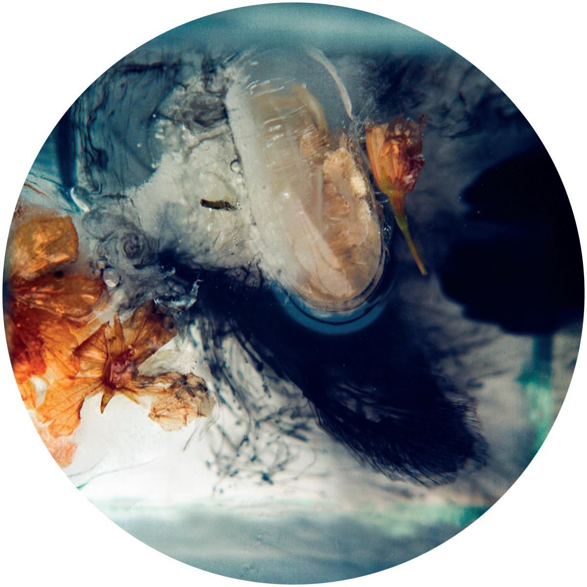 Ben Buitendijk - Ouroboros EP | Oblique Music (OBQ010)