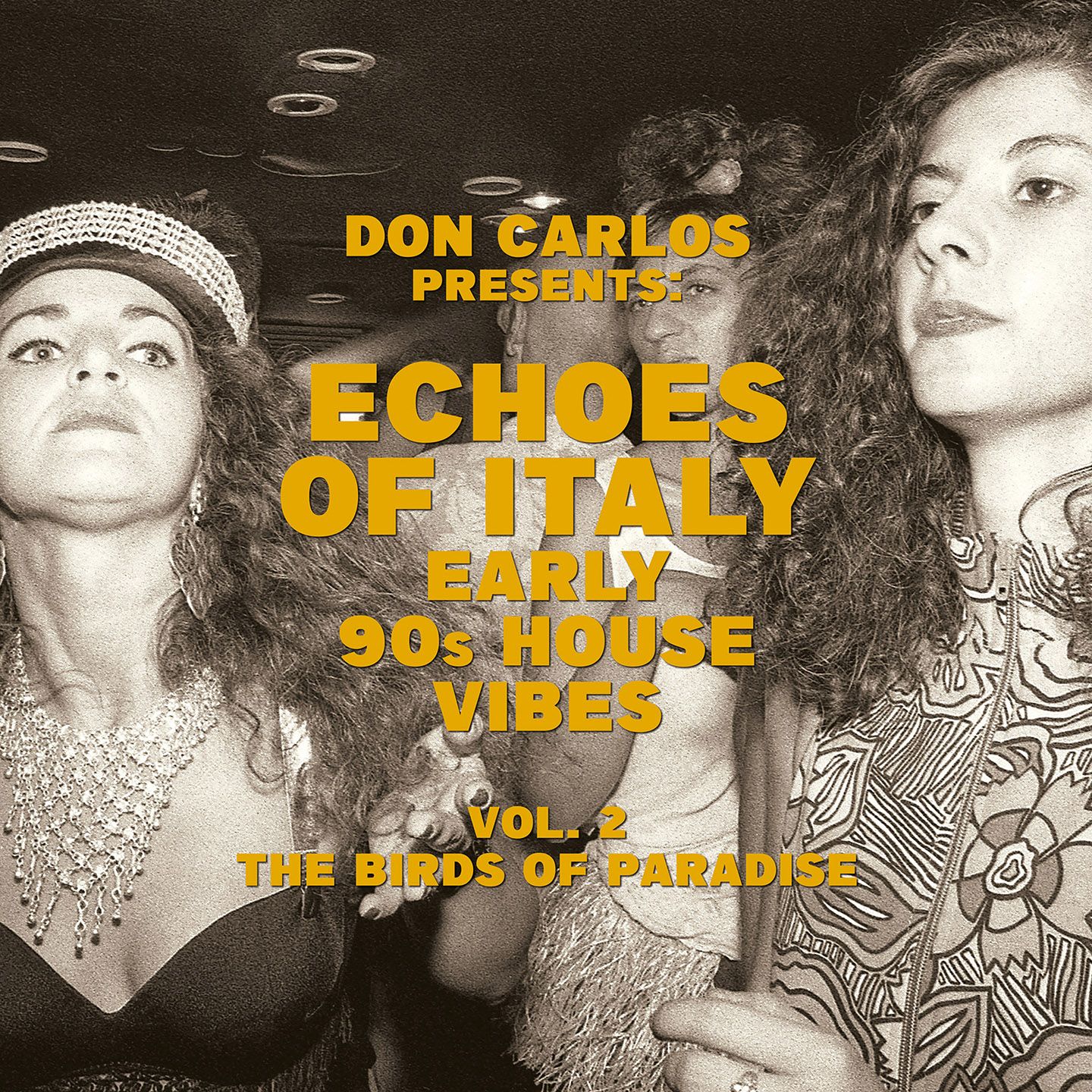V/A - Echoes Of Italy (Early 90s House Vibes) (Vol. 2 The Birds Of Paradise) | Jungle Fantasy Records (SEJFLP002)
