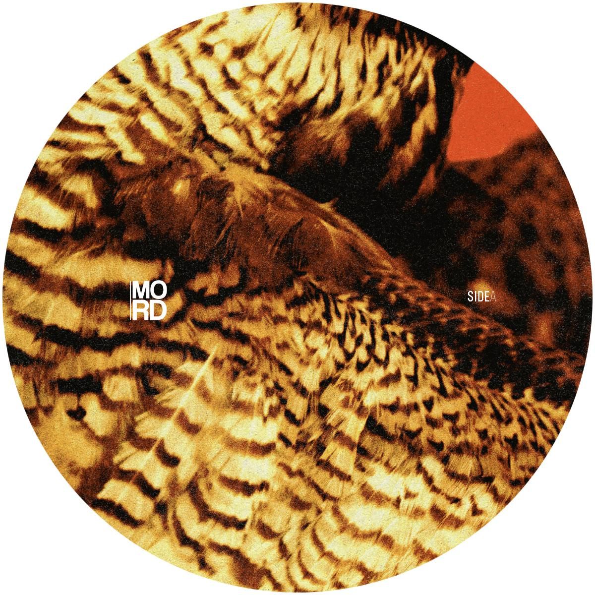 Amorphic & Tensal - Highland Frequencies EP | Mord (MORD113)