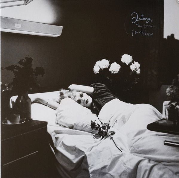 Antony And The Johnsons - I Am A Bird Now | Rough Trade (RTRADLP223) - main Antony And The Johnsons - I Am A Bird Now | Rough Trade (RTRADLP223) - main